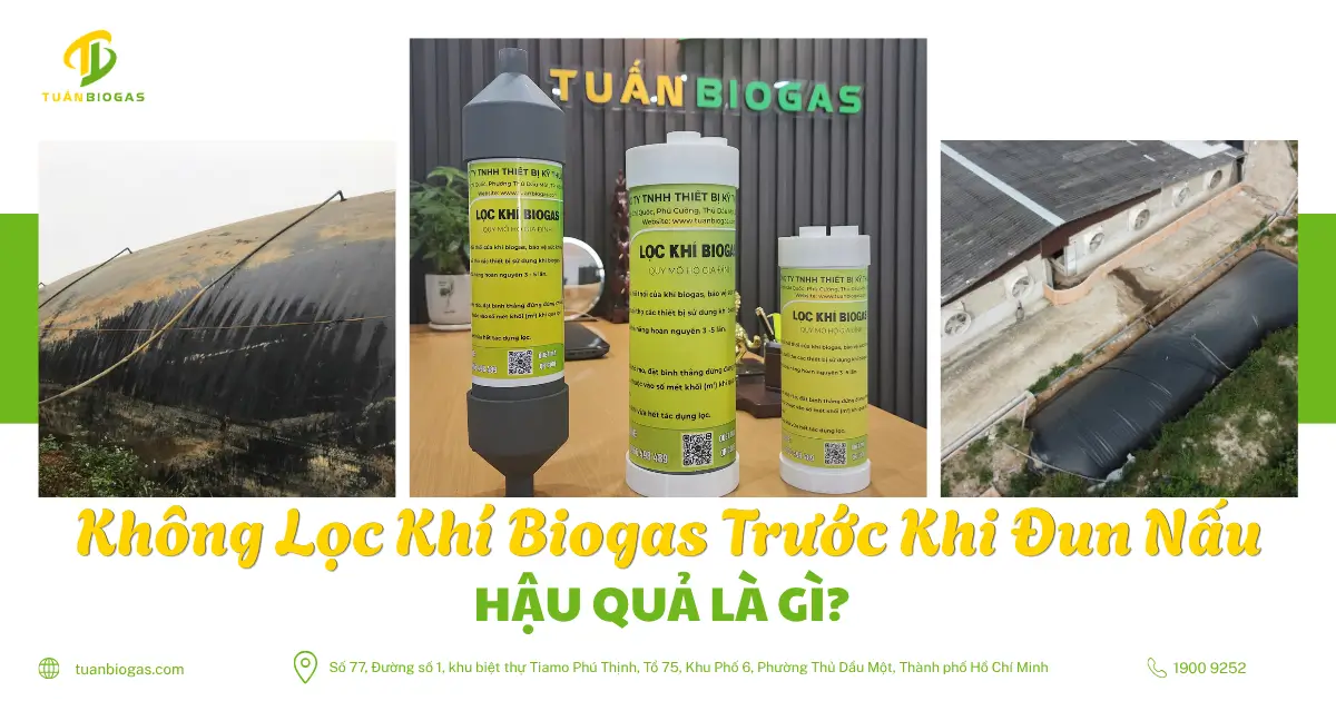 Không Lọc Khí Biogas Trước Khi Đun Nấu, Hậu Quả Là Gì?